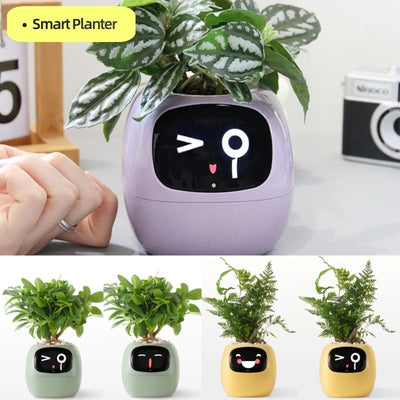 Smart Plant Buddy with Endless Expressions and AI-Powered Care