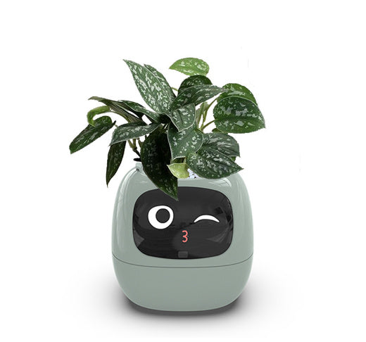 Smart Plant Buddy with Endless Expressions and AI-Powered Care